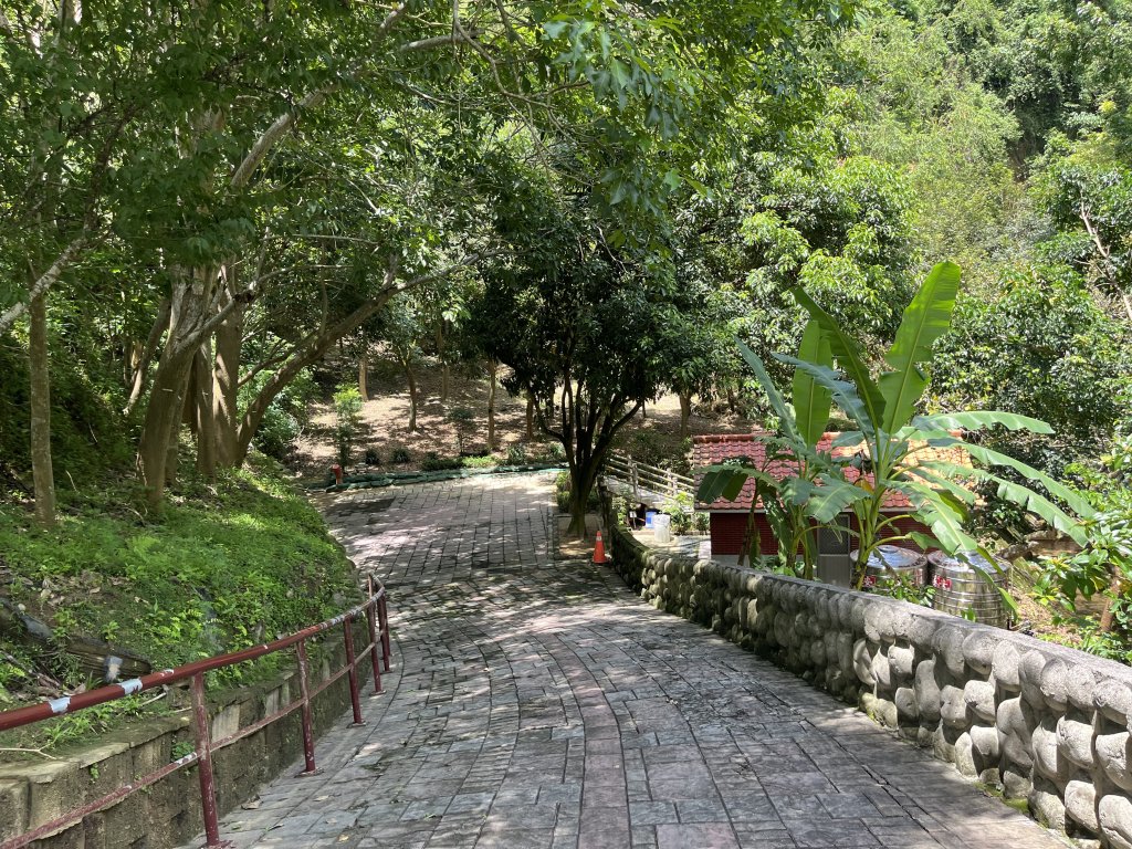 [百山百鳥尋旅-03/15] 2025_0817 虎形山公園步道_2863205