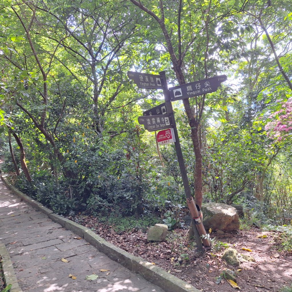 【2024觀音觀鷹尋寶任務】一日走完七條步道完成!_2508368