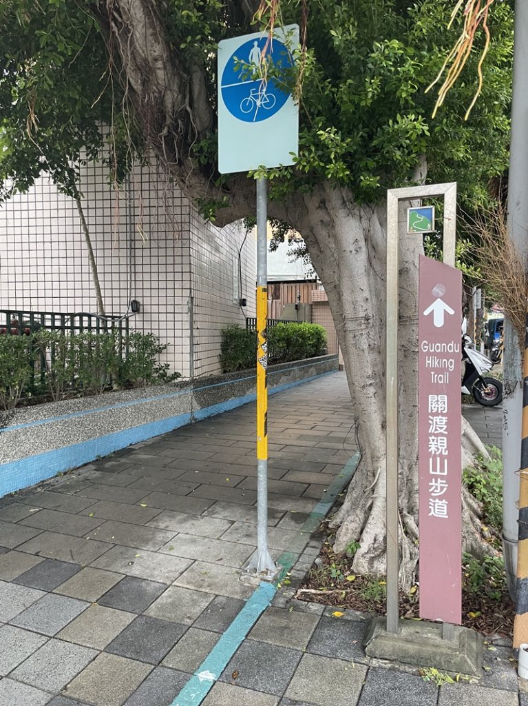 鳳梨宅_2929928