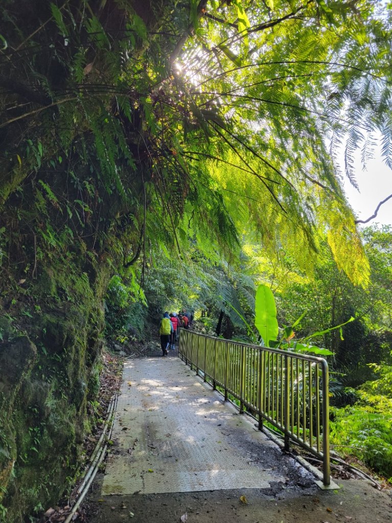 112.11.28 平溪-東勢格越嶺古道_2363027