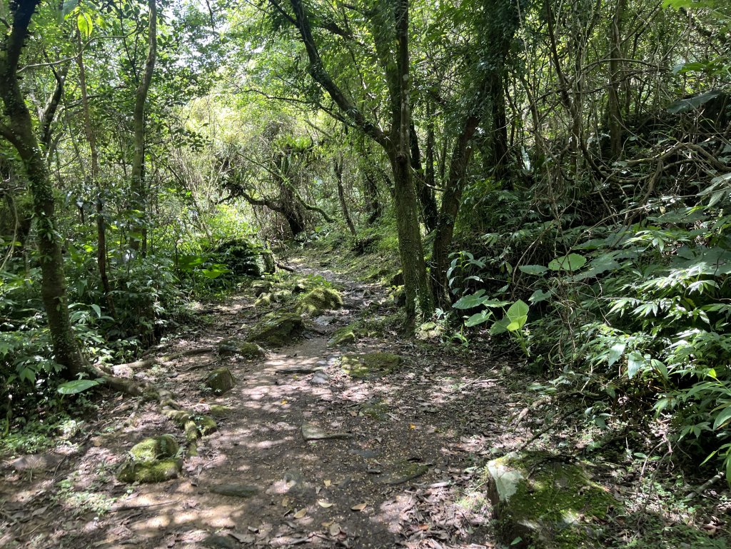 [淡蘭古道] 2024_0622 中路第五段-灣潭古道_2533984