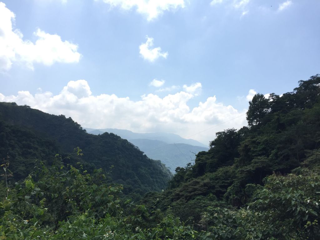 九九峰森林步道_396643