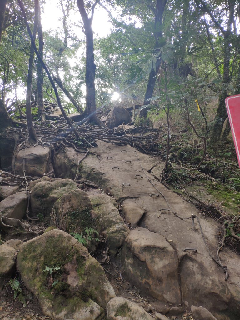 台版富士山_苗栗加里山_1172730