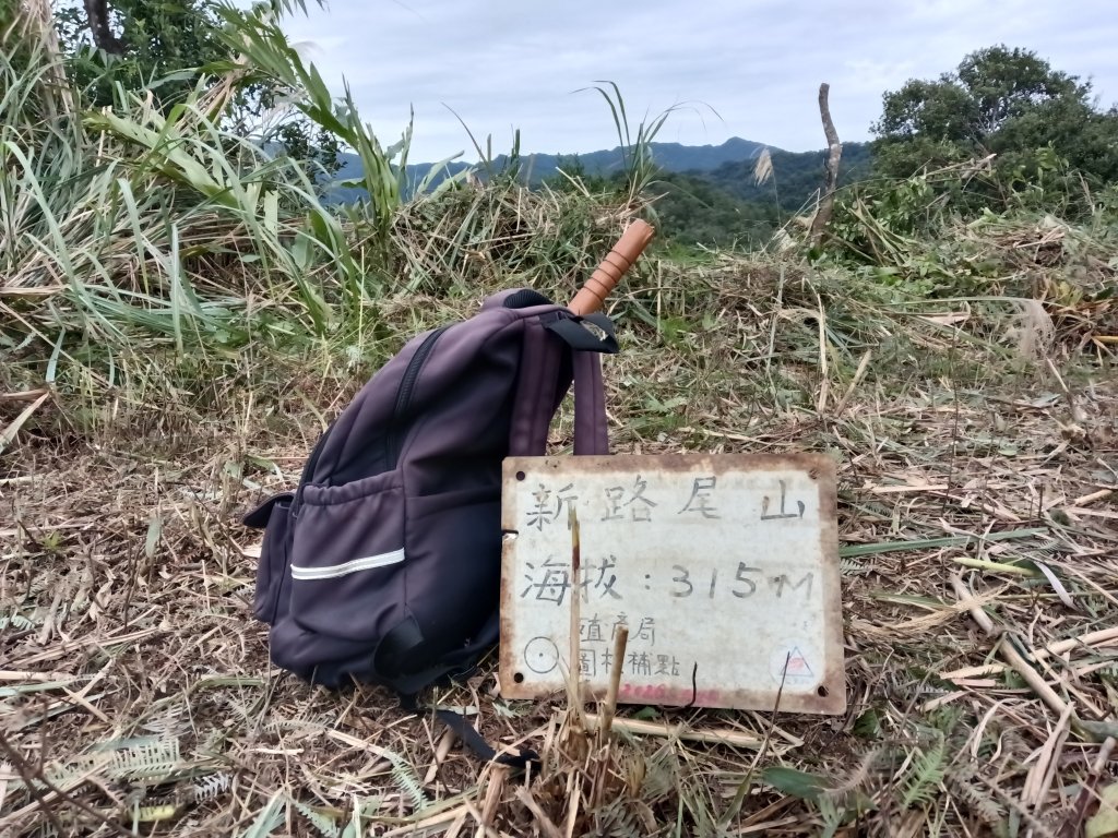 雙溪區艋舺崙古道+新路尾山+大竹林山出雙溪車站封面圖
