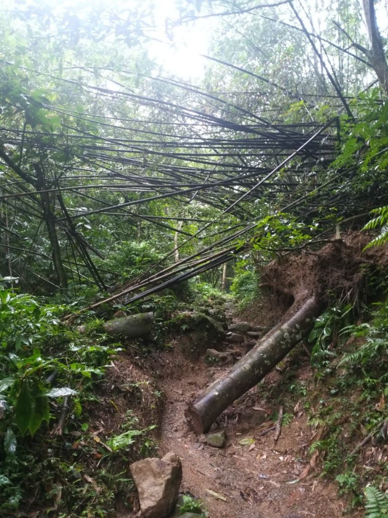 石門山封面圖