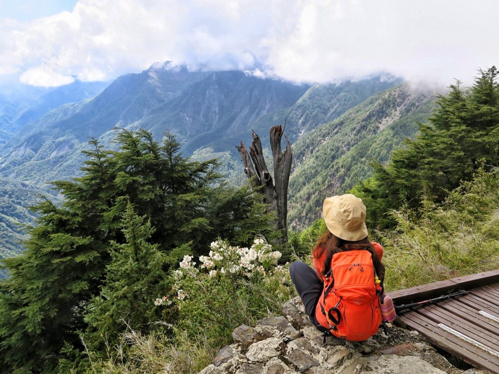 玉山主峰 四月雪 東埔山 杜鵑綻放_1663065