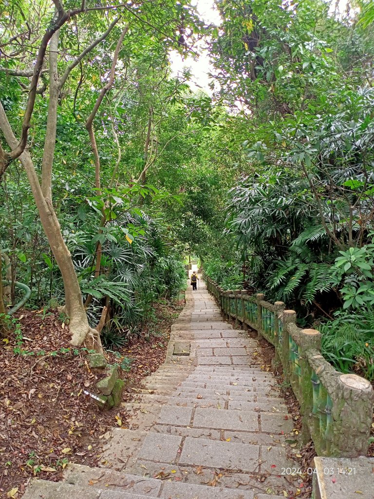【臺北大縱走5 第二回合】碧山巖→忠勇山越嶺步道→金龍產業道路→圓明寺、鄭成功廟步道→文間山→劍潭山_2472465