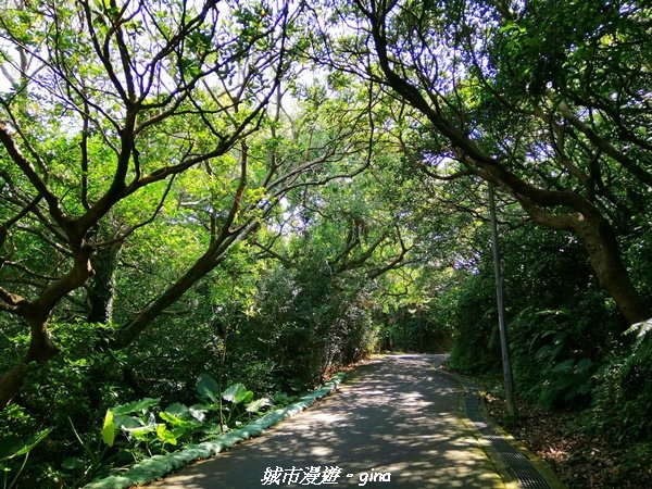 【新北。金山】獅頭山公園步道~遠眺金山八景之燭臺雙嶼_1458197