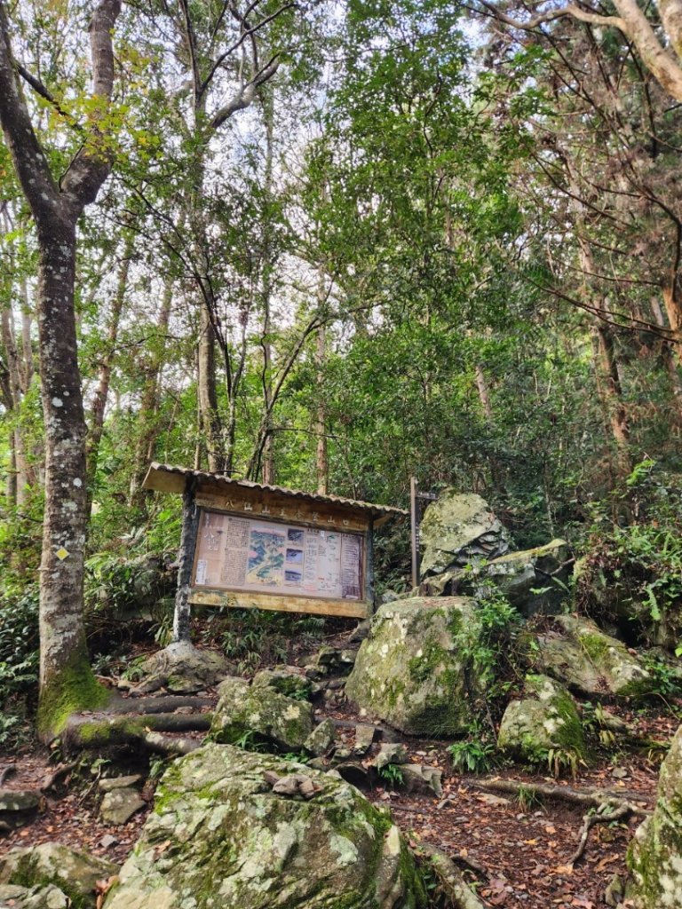 【中級山】谷關七雄八仙山_2745089