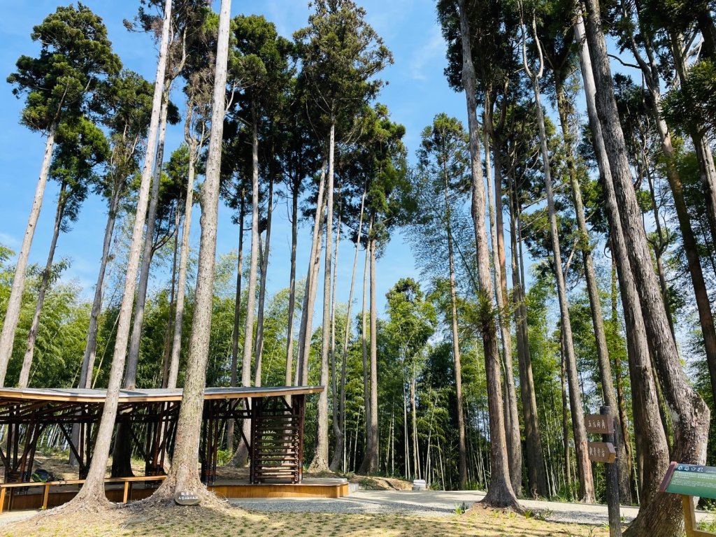 木馬古道_2689591