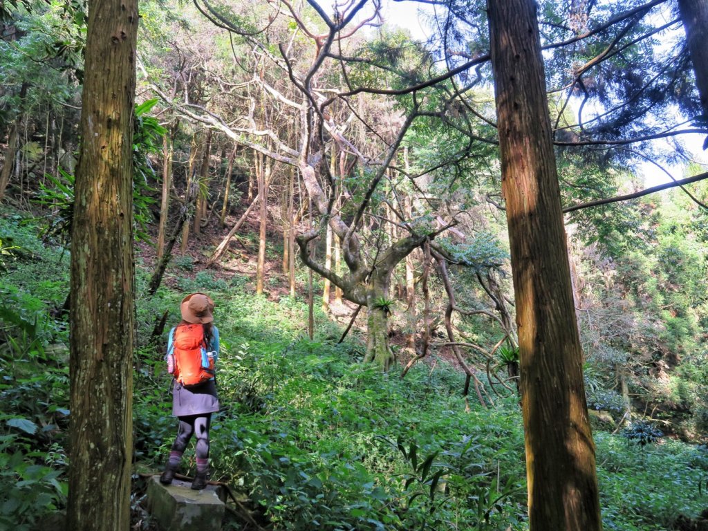 水雲三星 鳳山-鳥嘴山（上島山）封面圖