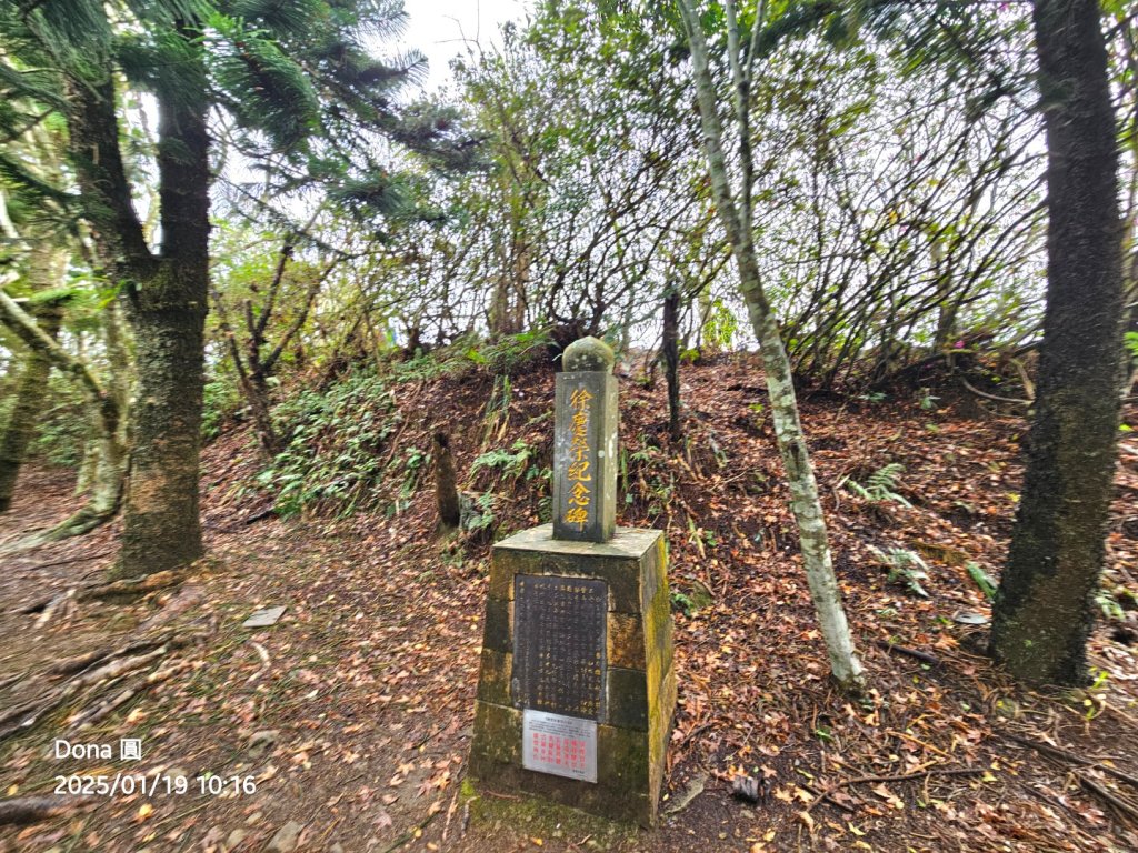 小百岳馬那邦山(H1407m)加碼採草莓_2694658