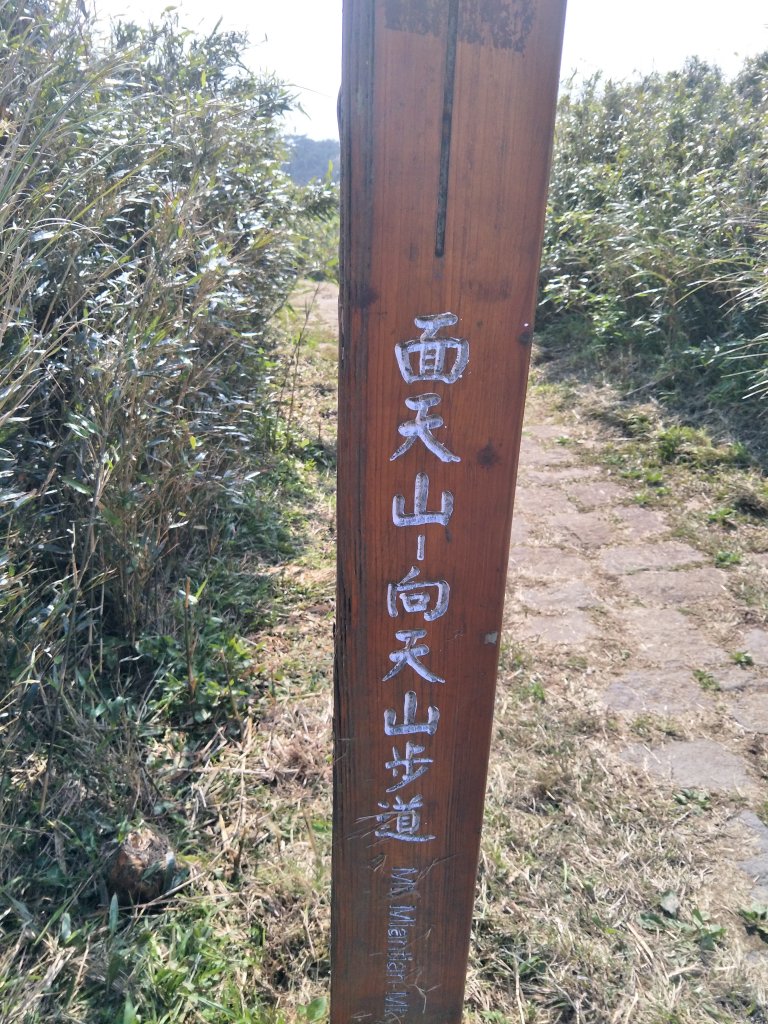 陽明山東西大縱走_1682509