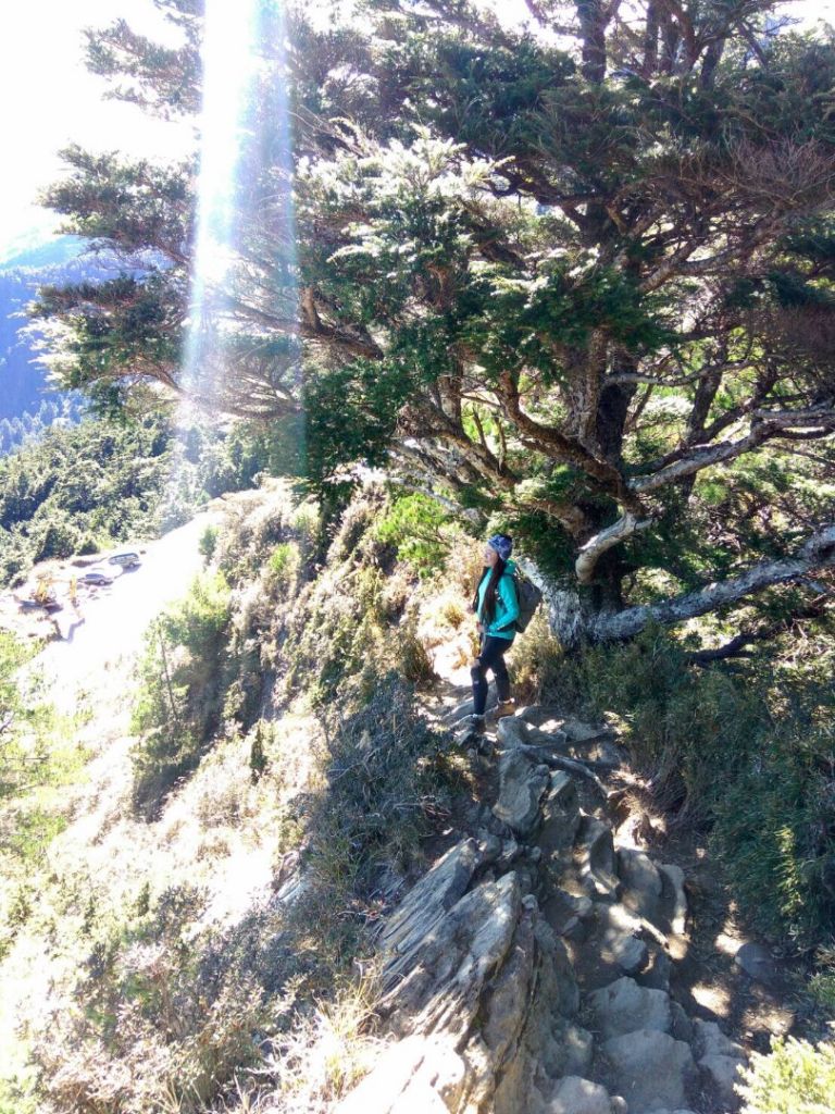 20171223合歡群峰逍遙遊_231532