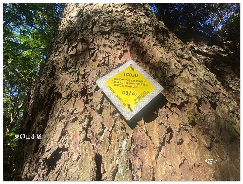 東卯山、東卯山西峰、東卯山西南峰 連走_2932782