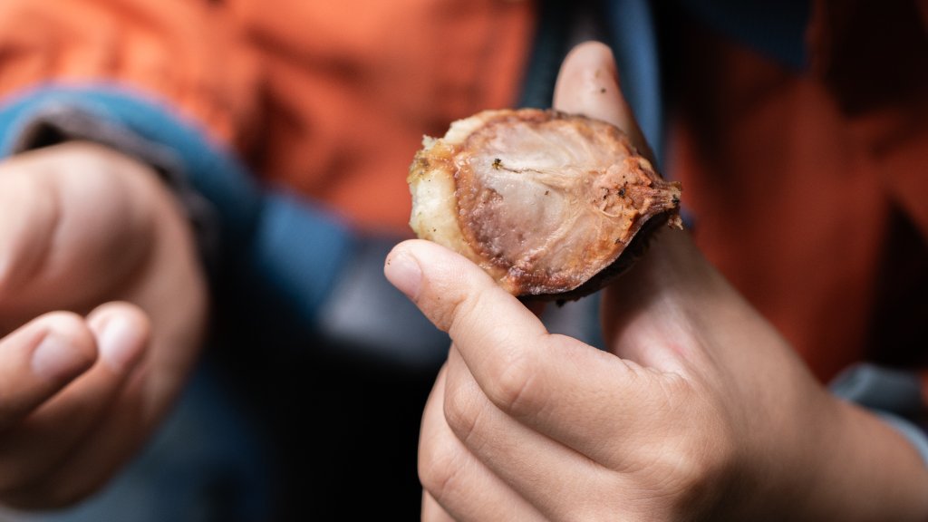 傳說中的「魔神仔洞」| 菁桐古道（汐止段＆平溪段）_2721214