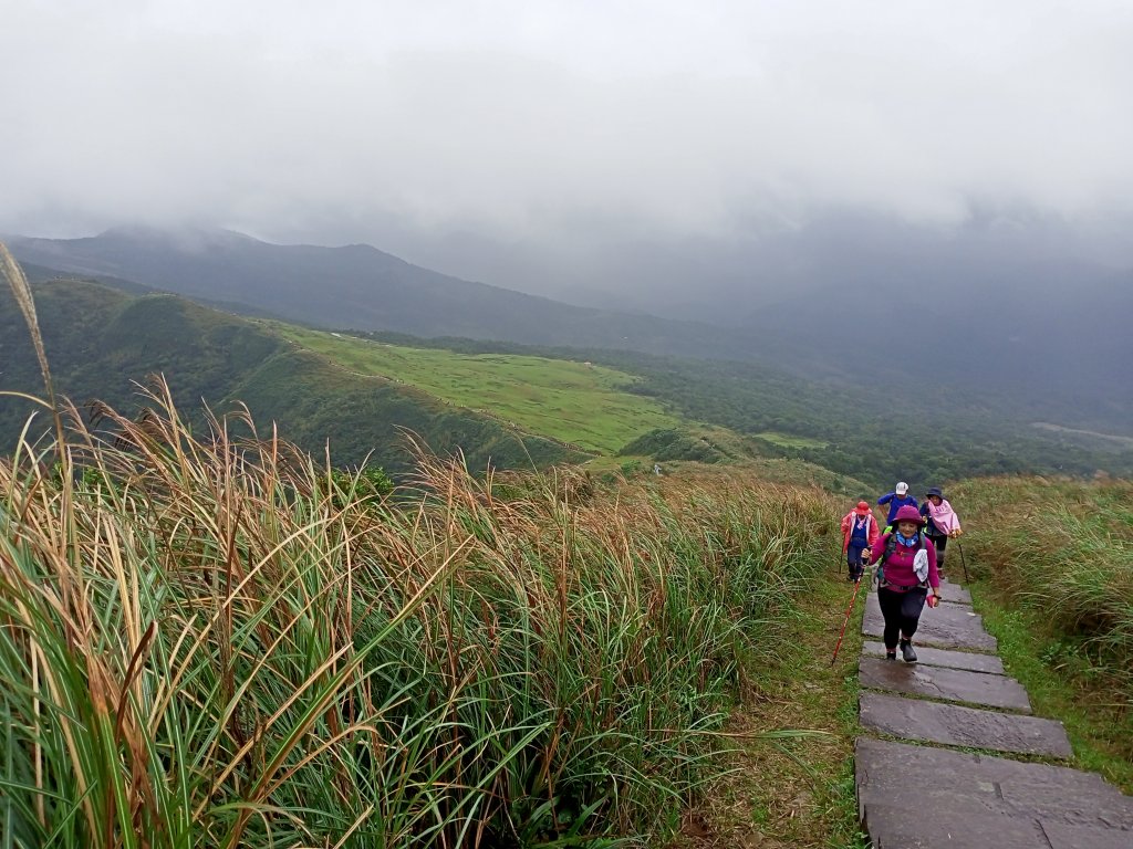 【小百岳集起來】內寮蕭家莊→桃源谷內寮線→草嶺線→福德山→#082灣坑頭山_1523499