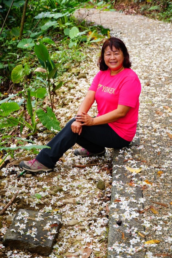古坑荷苞山步道賞桐花_917413