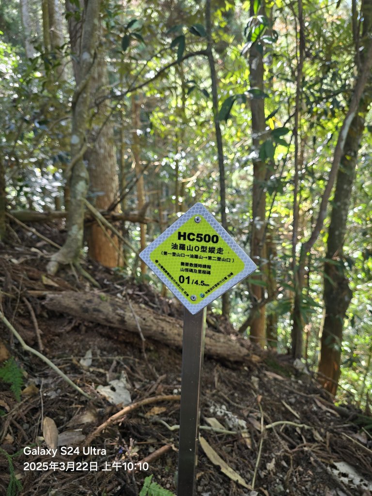 2025-03-22油羅山步道_2743395