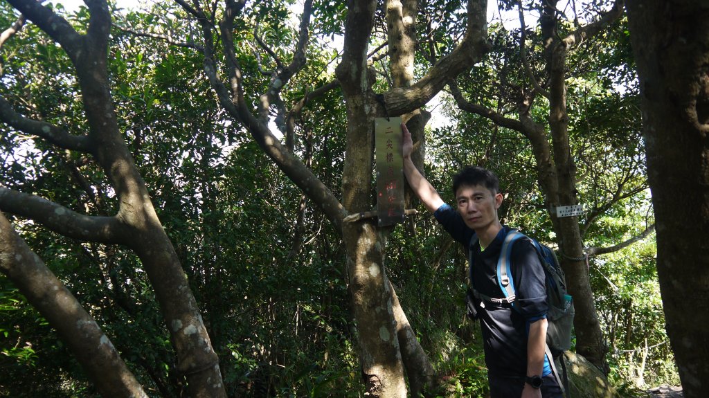 觀音山登山健行趣(小百岳05號)_1632429
