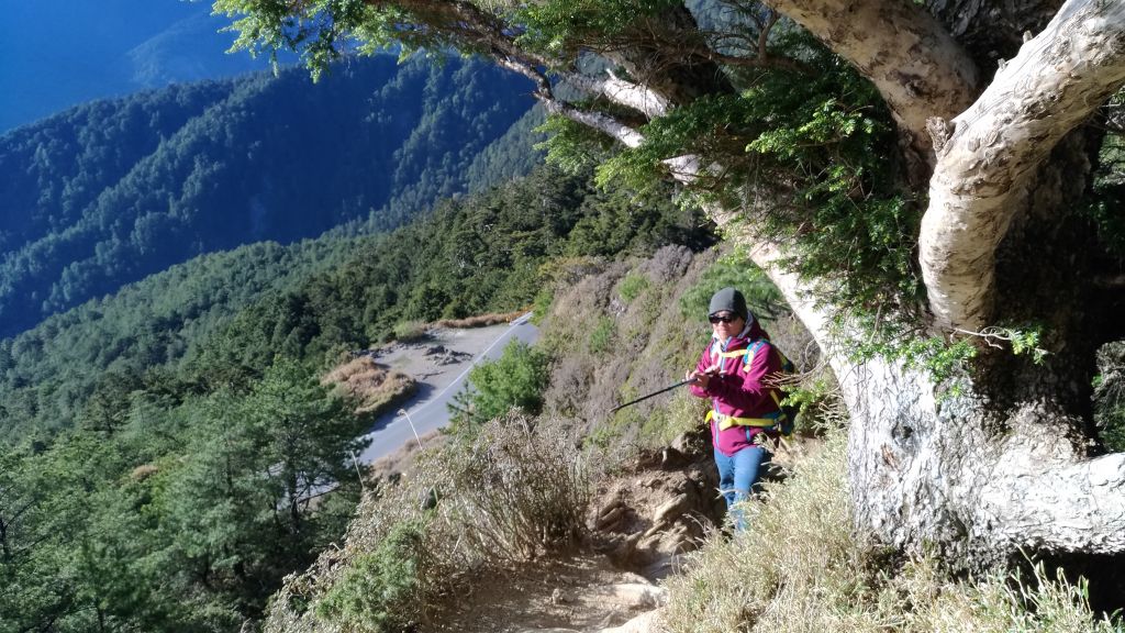 合歡山北峰!_325548