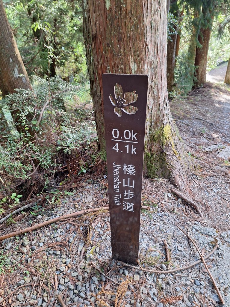 觀霧之榛山O型20241123_2653885