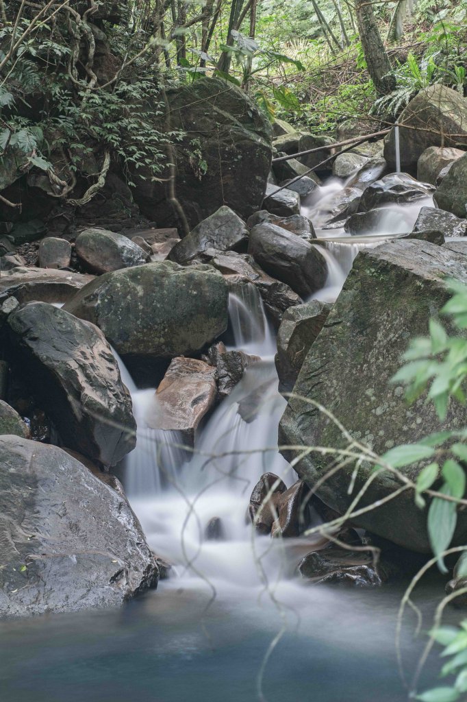 淡蘭草嶺古道（福隆車站-陸軍路-粉倌客棧-埡口-大里車站）_1990639