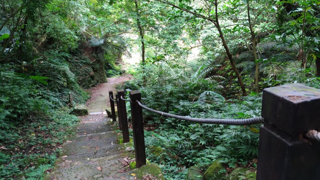 悠閒山林!銀河洞步道!_174861