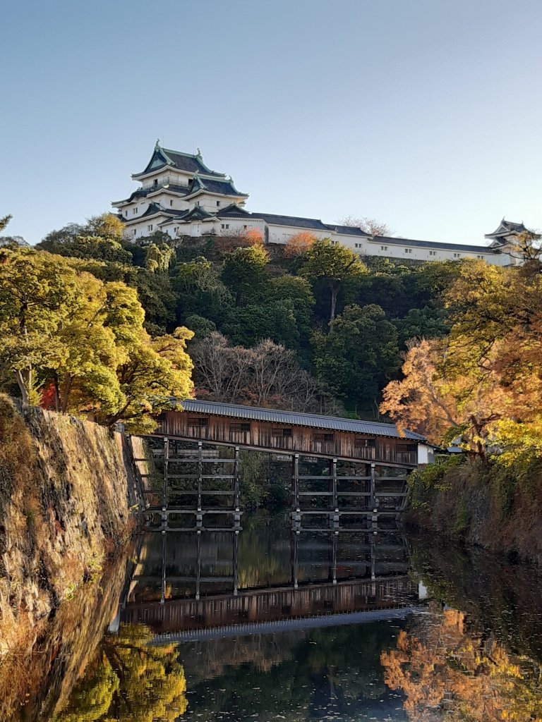 【海外健行】和歌山城封面圖