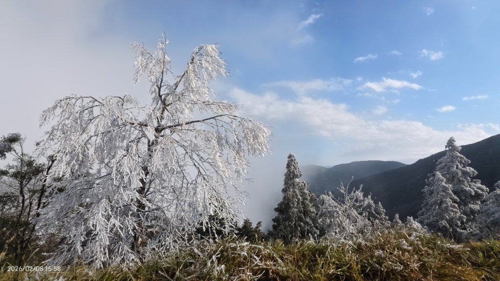#霧淞 #雲海 #雲瀑 #霧虹 #太平山 #望洋山 #觀雲步道 #翠峰道路  2/8_2995274