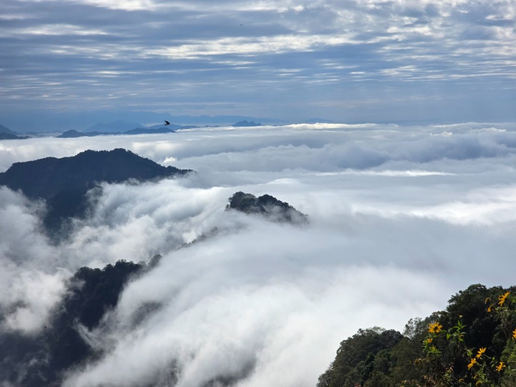 馬那邦山之雲海／雲瀑／楓紅／太陽琉璃光封面圖