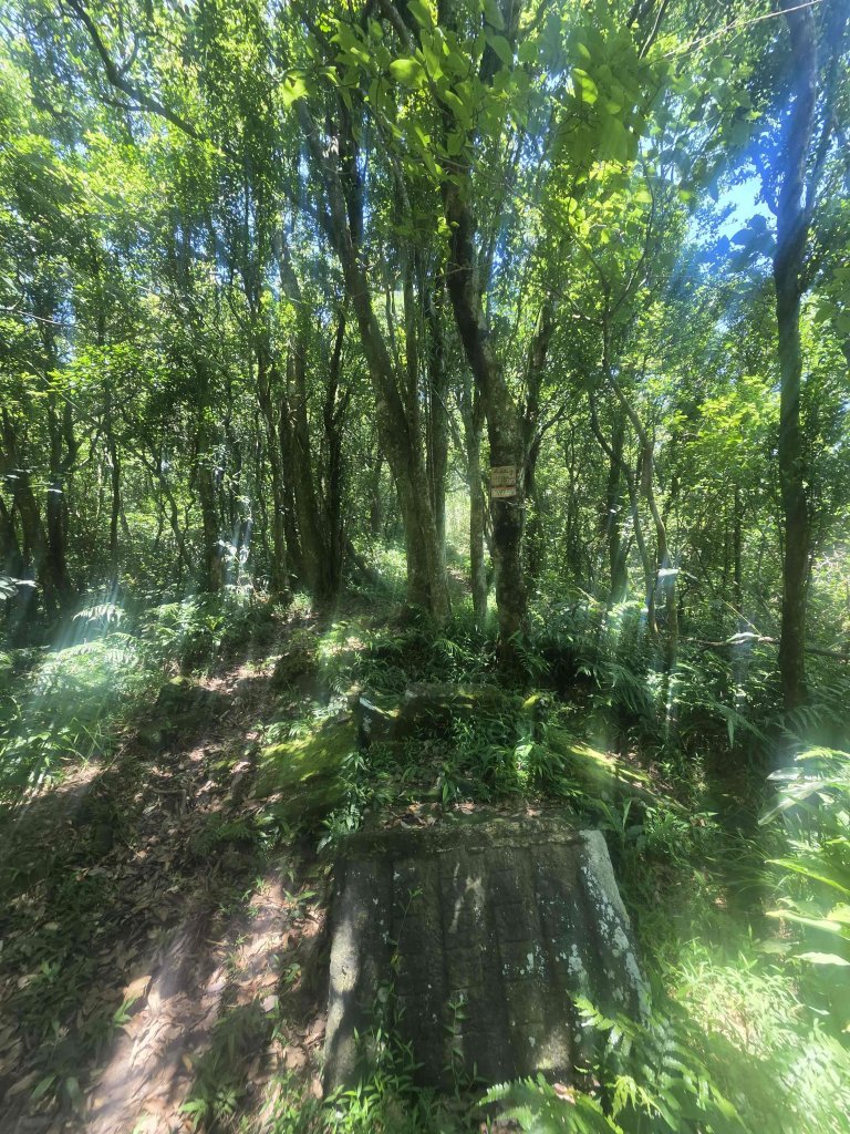 20260702中坑西山-仿山坑山-火燒寮古道下媚子寮_3082291