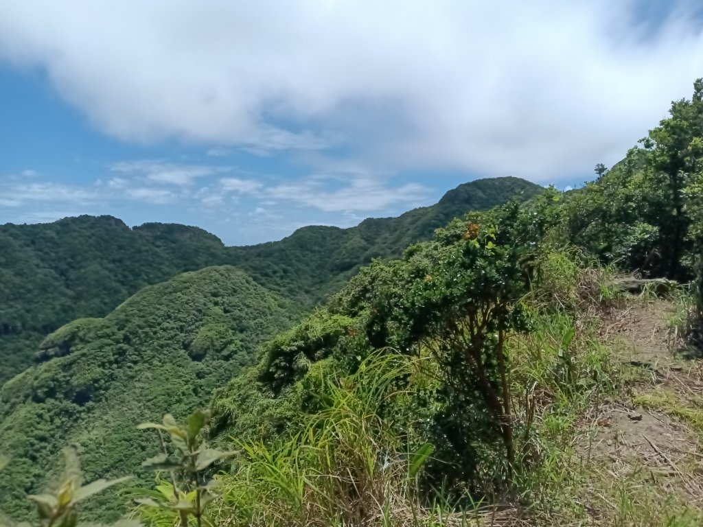 瑞芳區黃金8.5稜+南雅山O型_2866489