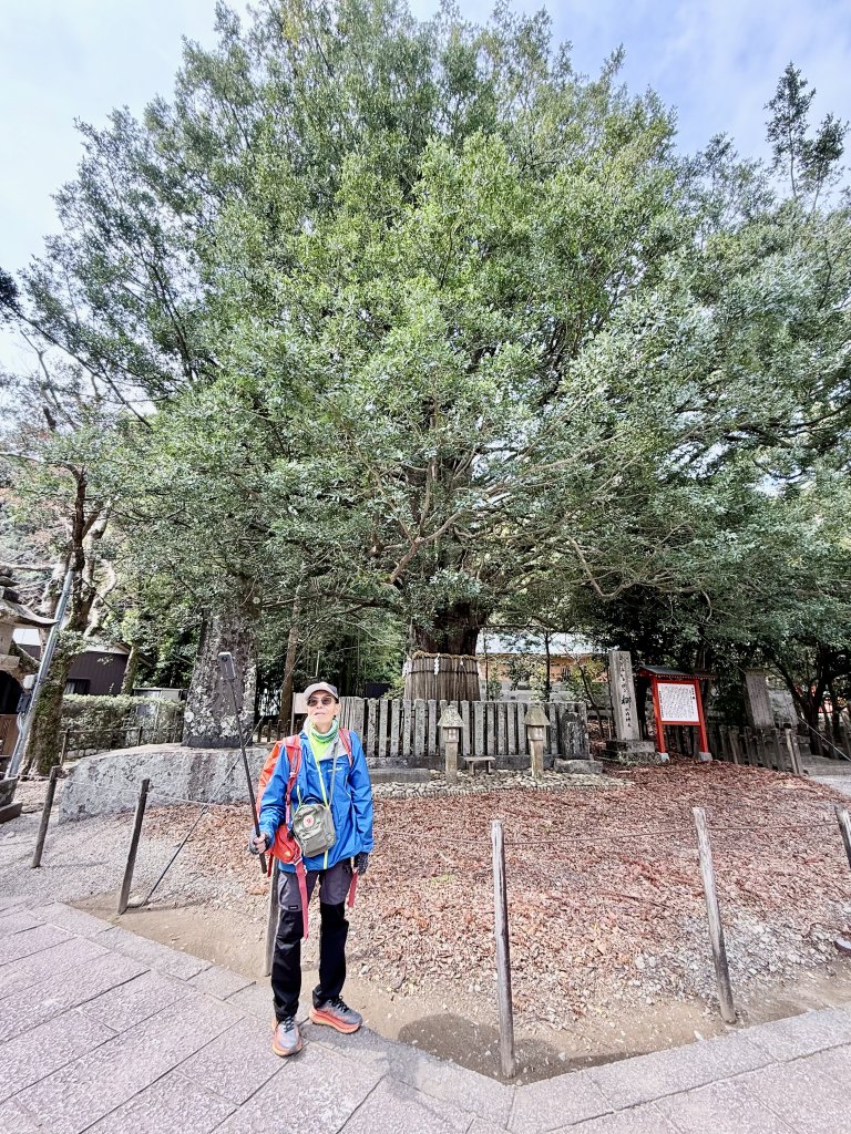 熊野古道中邊路D3 水上熊野古道 2025.3.18_2745991