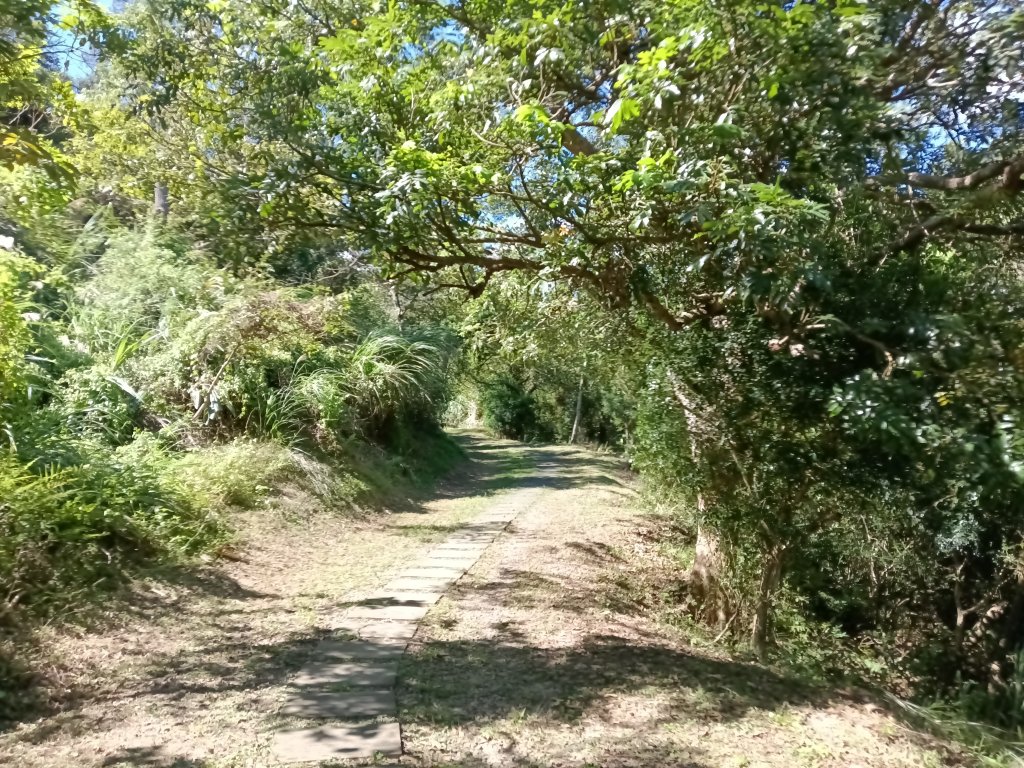 頭份鎮鹿廚坑步道+鹿廚坑山_2938032