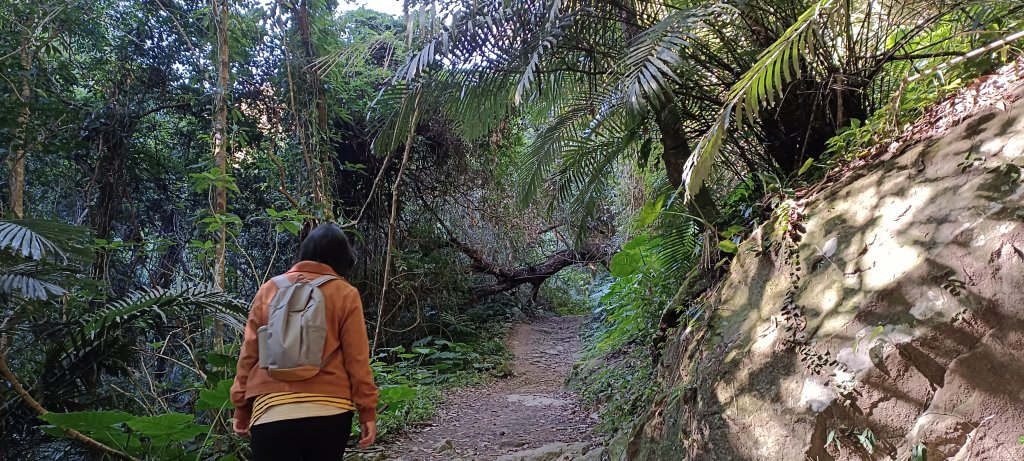 20221225_馬胎古道(古道上竹59下)_1967912