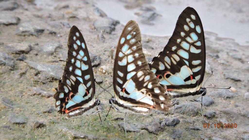 就是喜歡這個藍天白雲的FU_1028415
