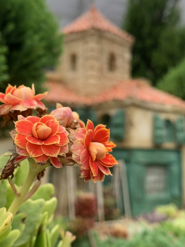 20250426苗栗火炎山_2772987