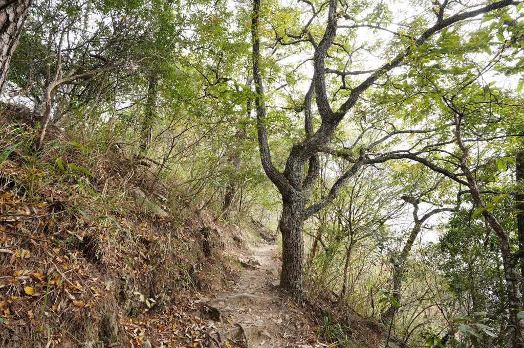 台中 和平 東卯山_2674503
