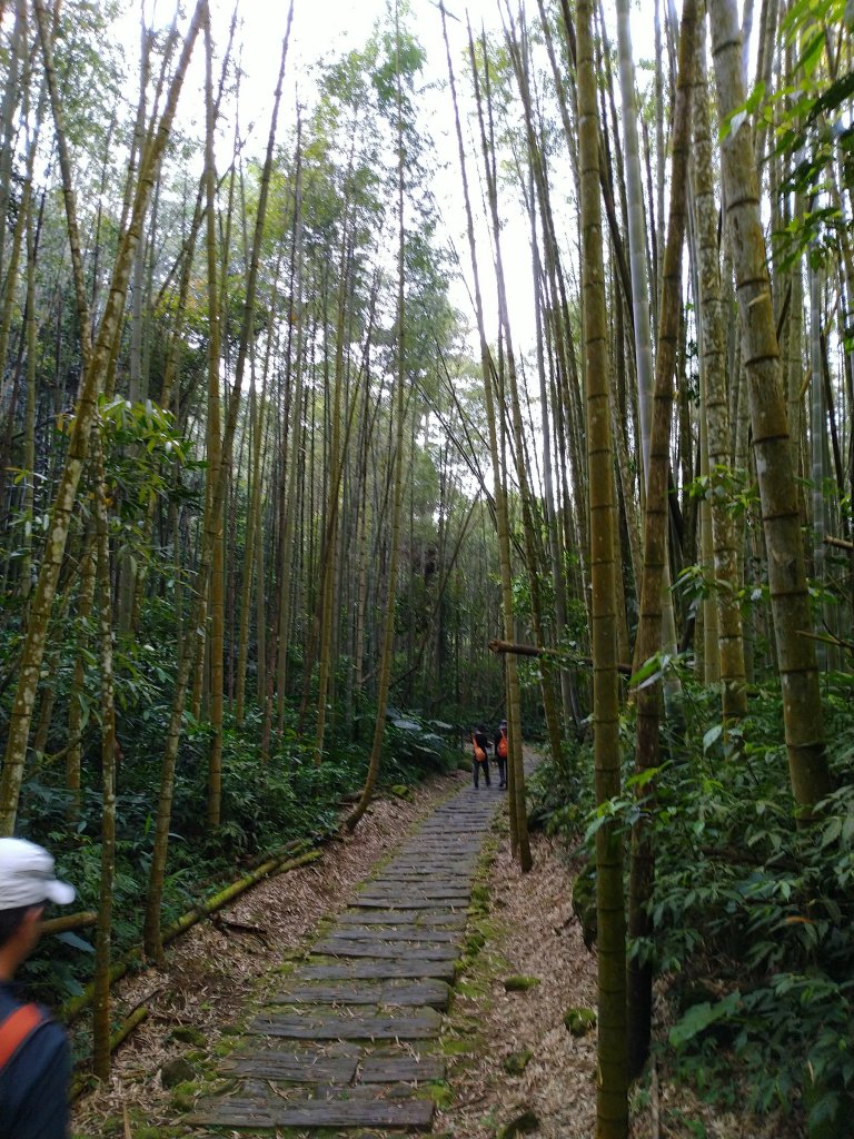 2022-04-09 迷糊步道_福山古道O型_1668158