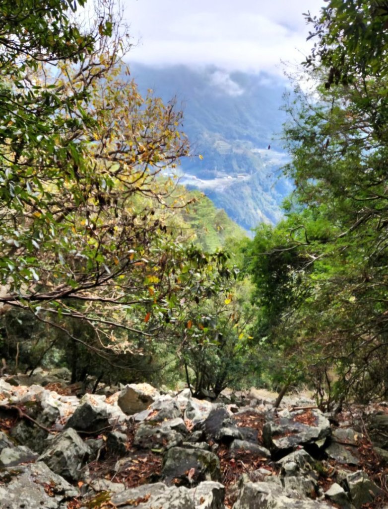 【中級山】谷關七雄波津加山_2742304