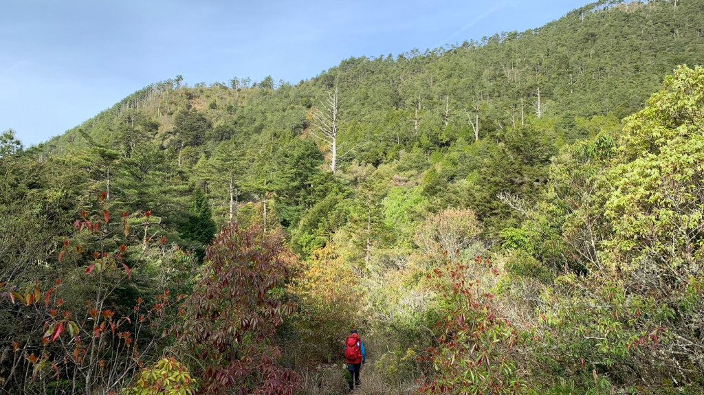 宜蘭 大同 台中 和平 羅馬環形縱走_2116331