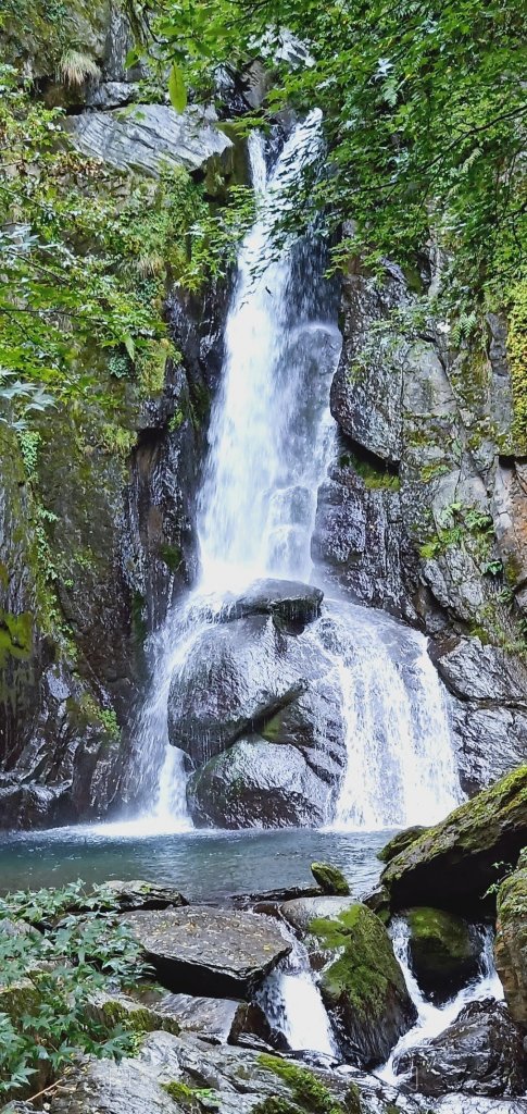 大霸群峰 107.10.19~21_455508