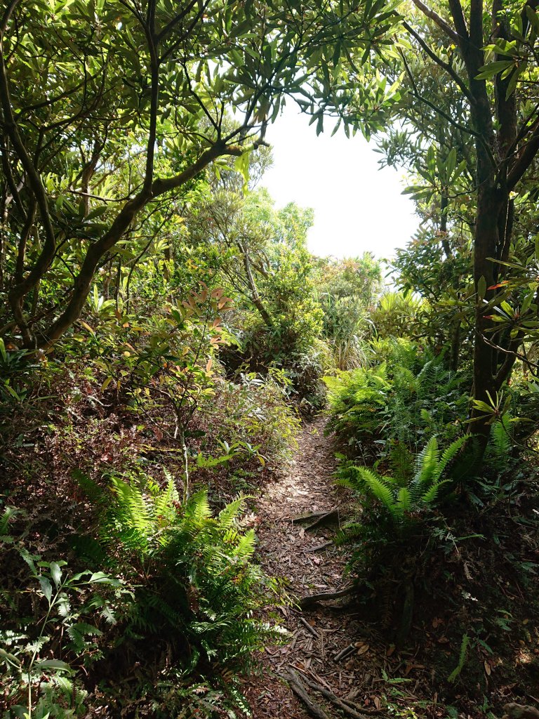 東眼山-拉卡山O型_950455