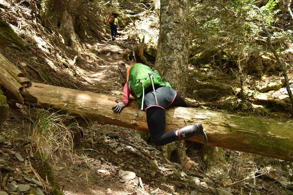 2019.04.06羊頭山_565448