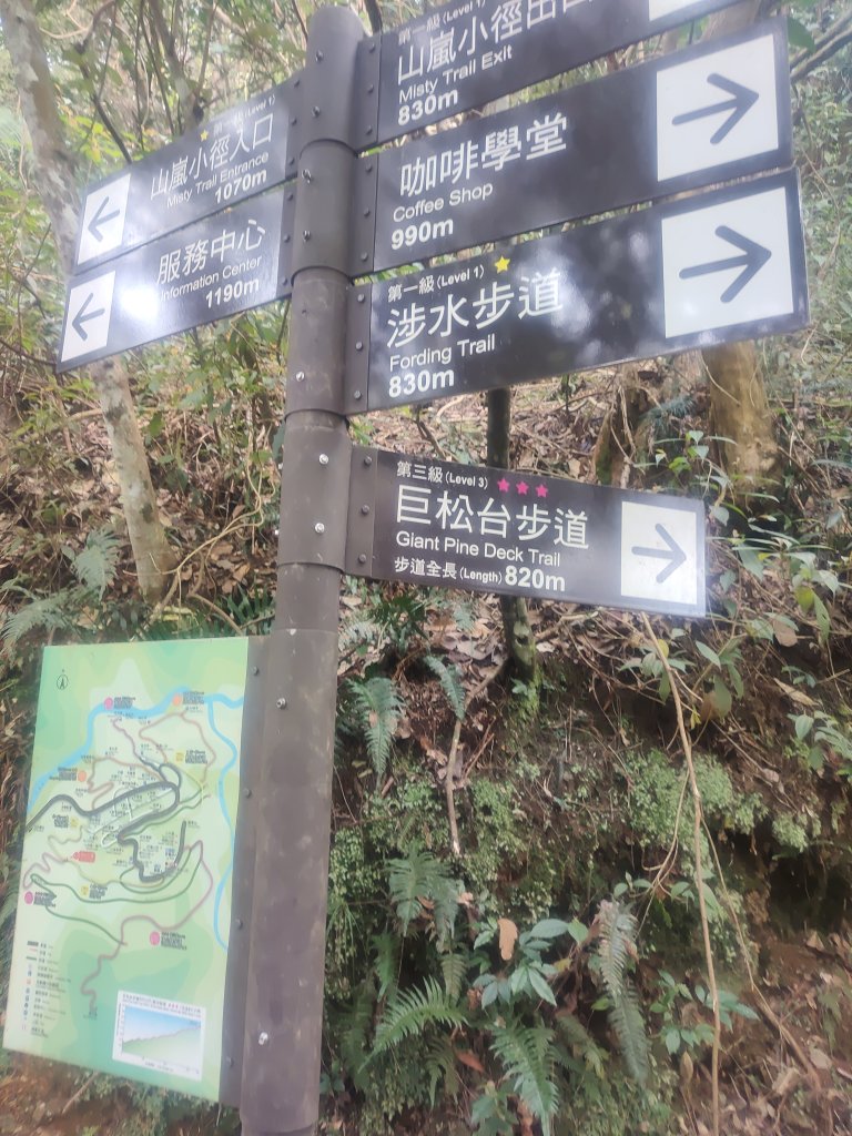 惠蓀湯公啤&小嵐_2697826