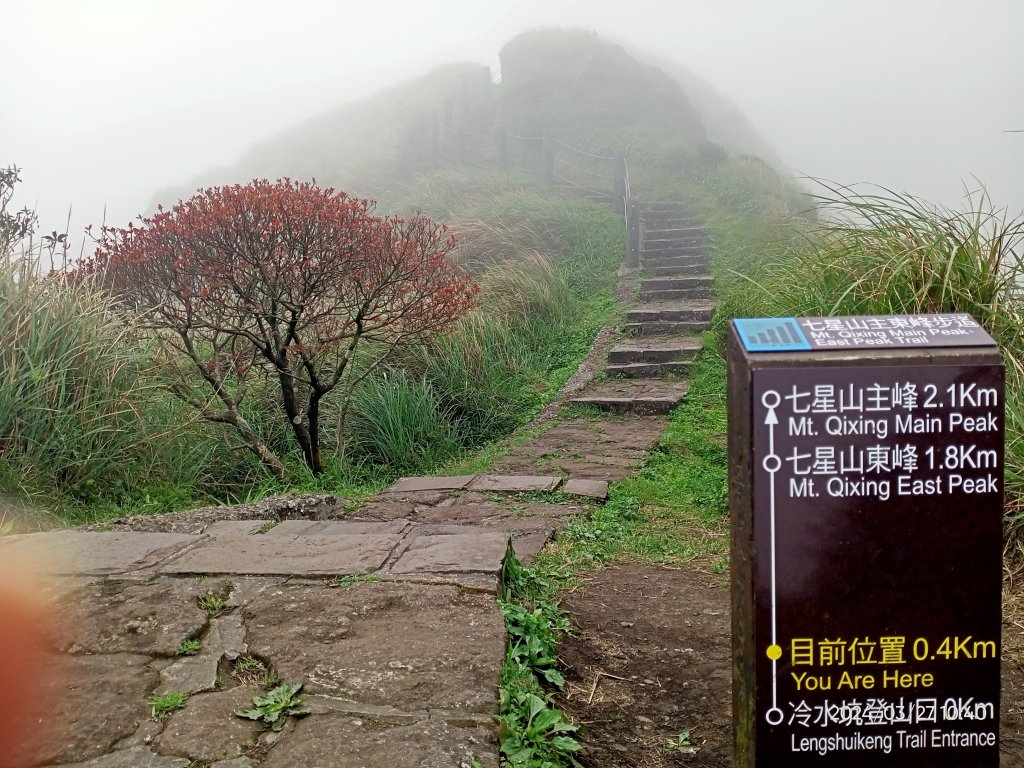 【臺北大縱走 3】冷水坑→七星山東峰→冷擎步道→牛奶湖→菁山吊橋_2468529