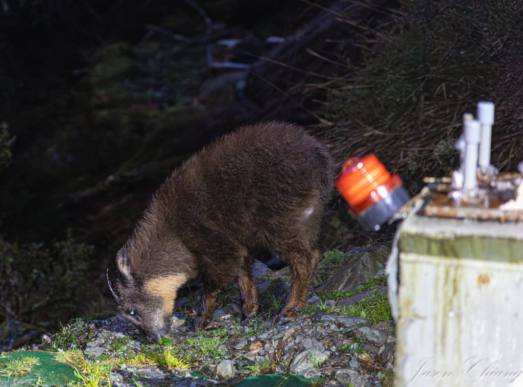 南二段撤退行_2743003
