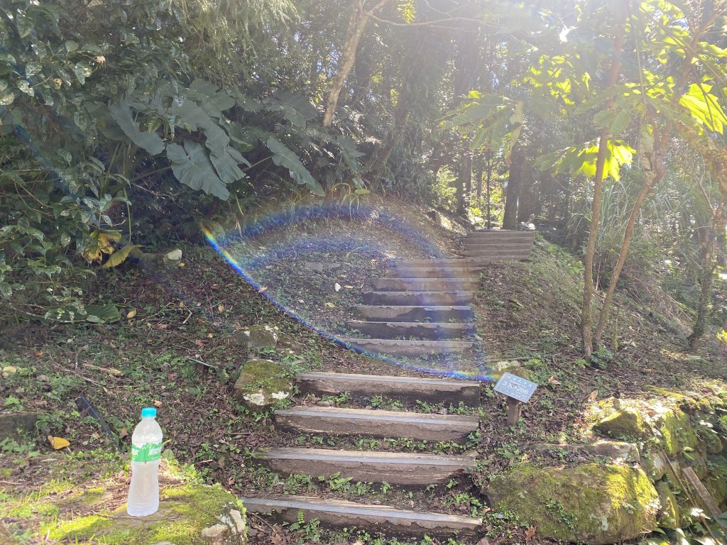 1111104東眼山_2673059