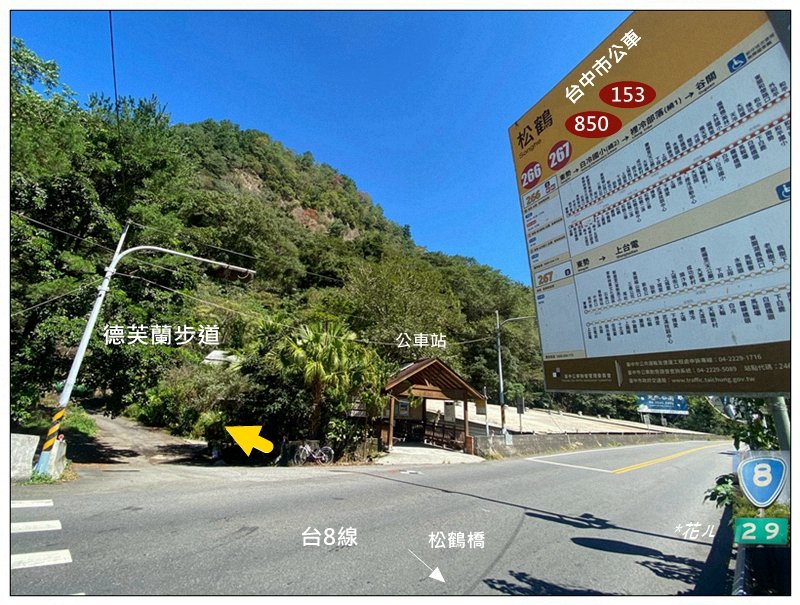 北松鶴山、德芙蘭步道 (台中 和平)_2922119